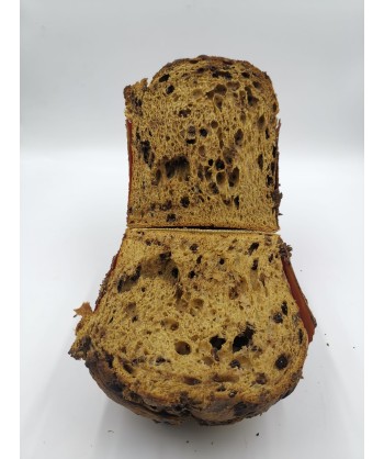 Panettone al Cioccolato